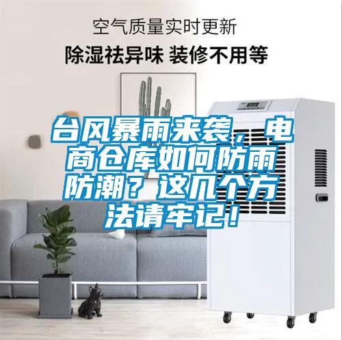 臺(tái)風(fēng)暴雨來襲,電商倉庫如何防雨防潮?這幾個(gè)方法請牢記!