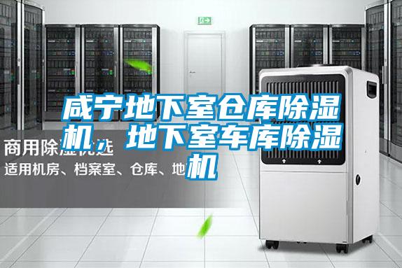 咸寧地下室倉庫除濕機,地下室車庫除濕機