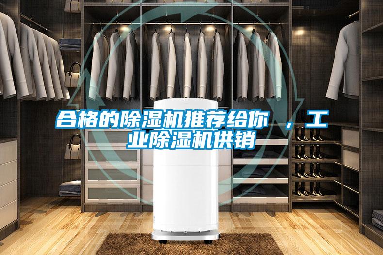 合格的除濕機(jī)推薦給你 ，工業(yè)除濕機(jī)供銷