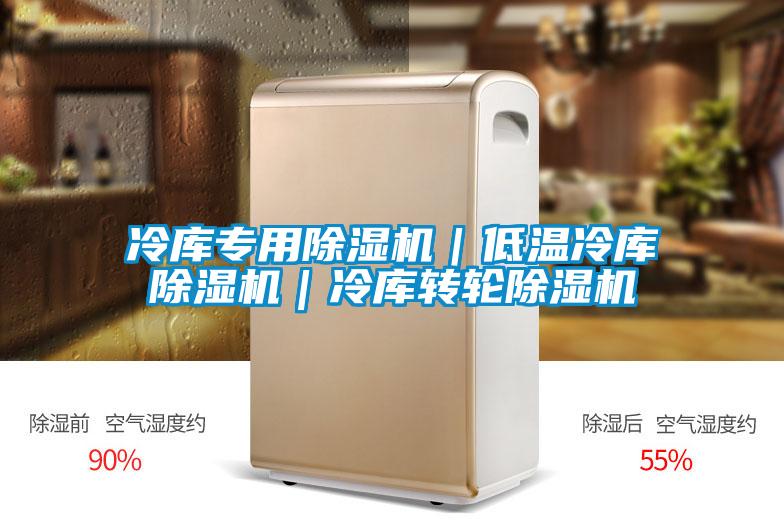 冷庫專用除濕機(jī)|低溫冷庫除濕機(jī)|冷庫轉(zhuǎn)輪除濕機(jī)
