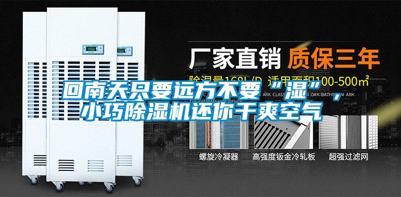 回南天只要遠(yuǎn)方不要“濕”,小巧除濕機還你干爽空氣