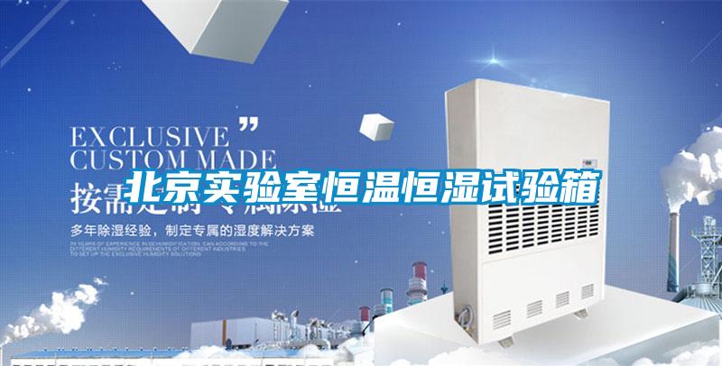 北京實(shí)驗(yàn)室恒溫恒濕試驗(yàn)箱