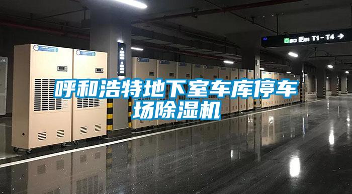 呼和浩特地下室車庫停車場除濕機(jī)