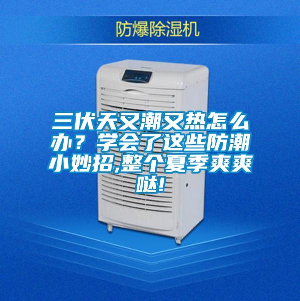 三伏天又潮又熱怎么辦？學會了這些防潮小妙招,整個夏季爽爽噠!