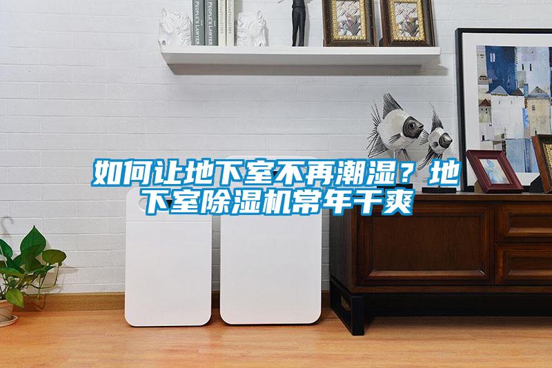 如何讓地下室不再潮濕?地下室除濕機(jī)常年干爽