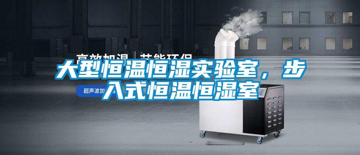 大型恒溫恒濕實(shí)驗(yàn)室,步入式恒溫恒濕室