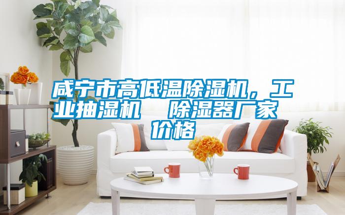咸寧市高低溫除濕機,工業抽濕機 除濕器廠家 價格