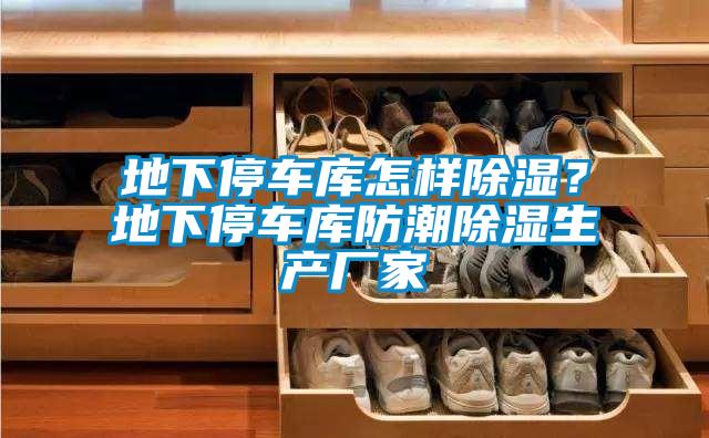 地下停車庫怎樣除濕?地下停車庫防潮除濕生產廠家