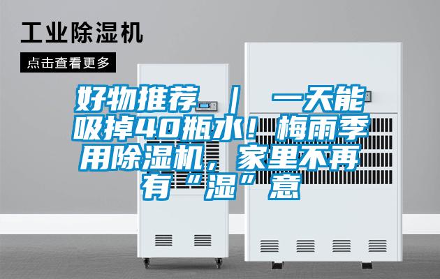 好物推薦 ｜ 一天能吸掉40瓶水！梅雨季用除濕機，家里不再有“濕”意