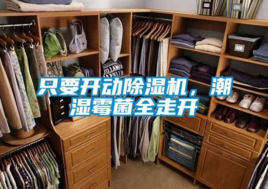 只要開動除濕機,潮濕霉菌全走開