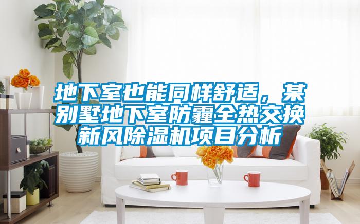 地下室也能同樣舒適,某別墅地下室防霾全熱交換新風除濕機項目分析