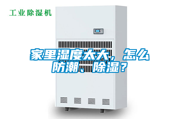 家里濕度太大，怎么防潮、除濕？