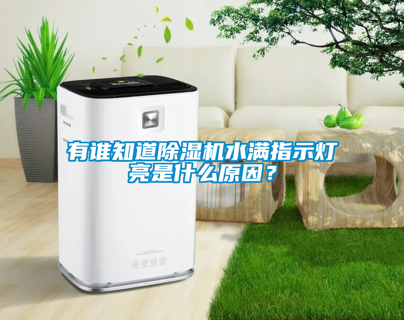 有誰知道除濕機水滿指示燈亮是什么原因？