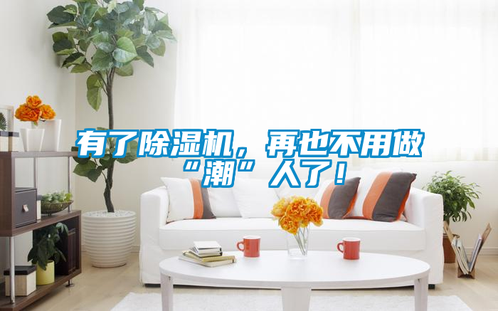 有了除濕機,再也不用做“潮”人了!