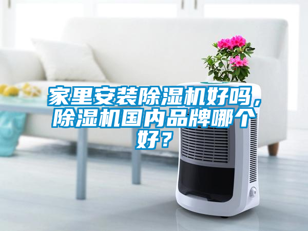 家里安裝除濕機好嗎，除濕機國內品牌哪個好？