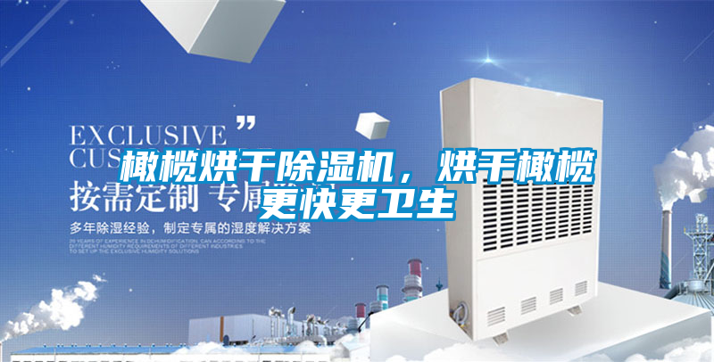 橄欖烘干除濕機，烘干橄欖更快更衛生