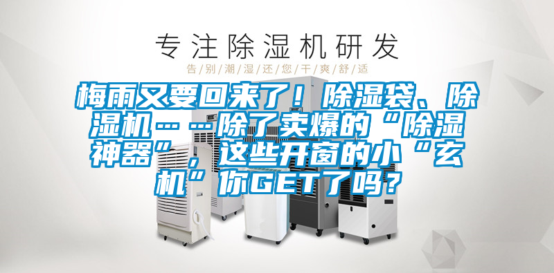 梅雨又要回來了!除濕袋、除濕機……除了賣爆的“除濕神器”,這些開窗的小“玄機”你GET了嗎?