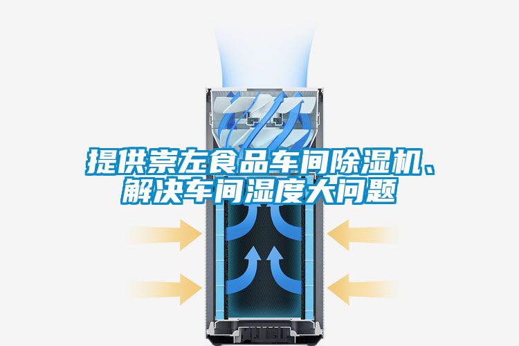 提供崇左食品車間除濕機、解決車間濕度大問題