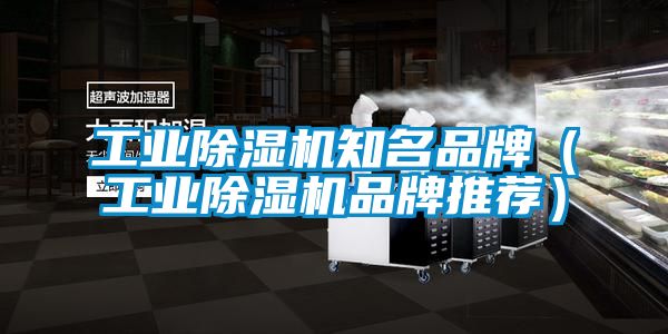 工業除濕機知名品牌(工業除濕機品牌推薦)