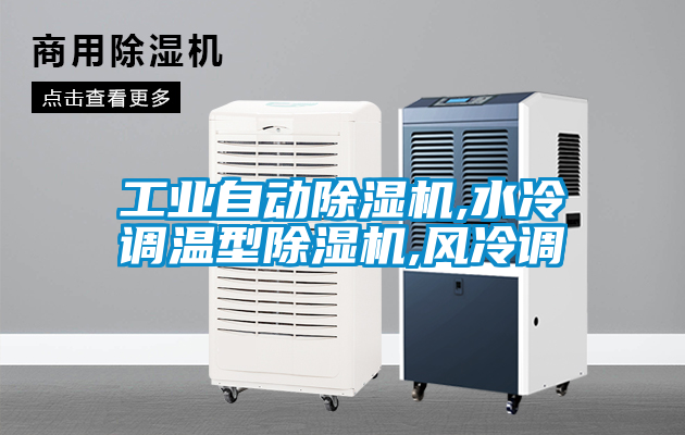 工業(yè)自動除濕機,水冷調(diào)溫型除濕機,風冷調(diào)