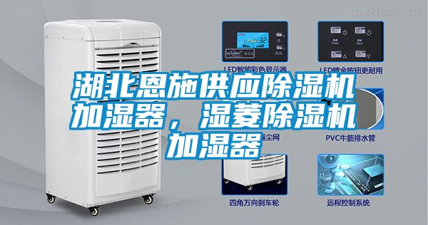 湖北恩施供應(yīng)除濕機(jī)加濕器,濕菱除濕機(jī)加濕器