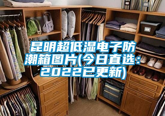 昆明超低濕電子防潮箱圖片(今日直選:2022已更新)