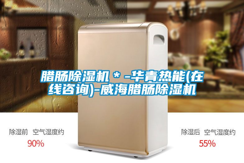 臘腸除濕機*-華青熱能(在線咨詢)-威海臘腸除濕機