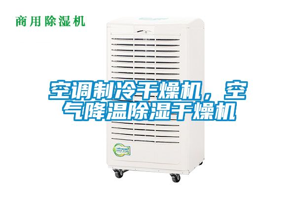 空調制冷干燥機,空氣降溫除濕干燥機