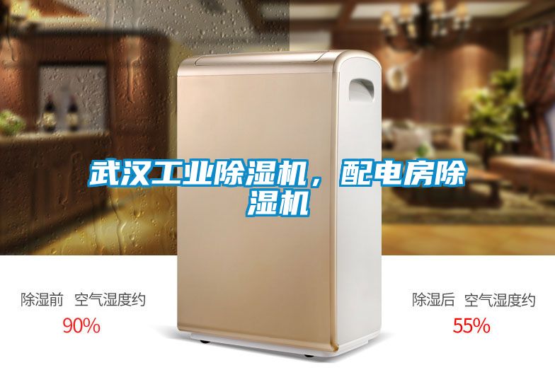 武漢工業(yè)除濕機(jī),配電房除濕機(jī)