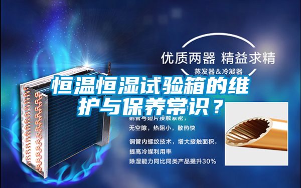 恒溫恒濕試驗箱的維護與保養(yǎng)常識?