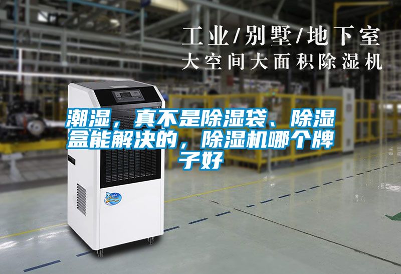 潮濕，真不是除濕袋、除濕盒能解決的，除濕機哪個牌子好
