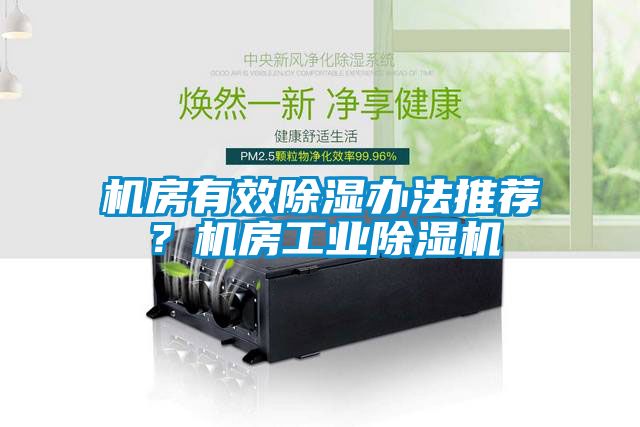 機房有效除濕辦法推薦?機房工業除濕機