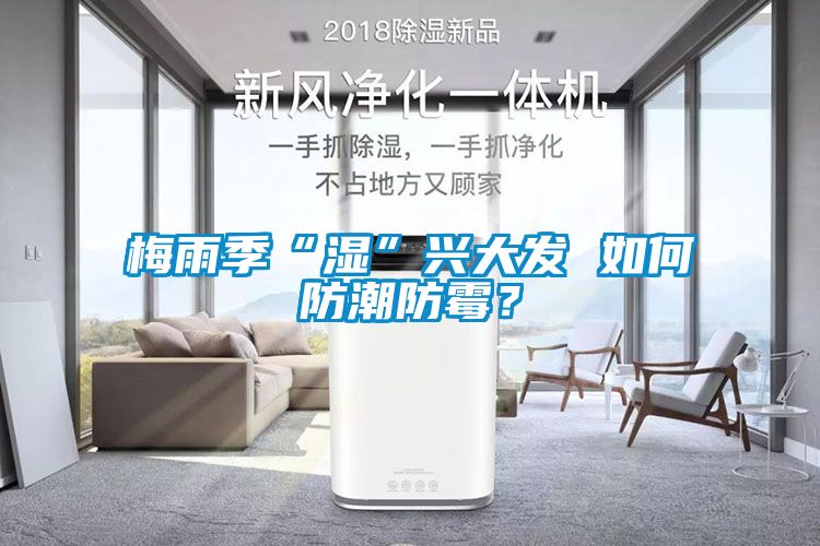 梅雨季“濕”興大發(fā) 如何防潮防霉?