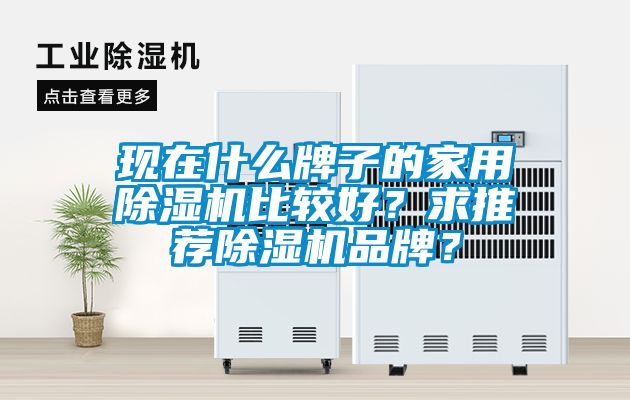 現在什么牌子的家用除濕機比較好？求推薦除濕機品牌？