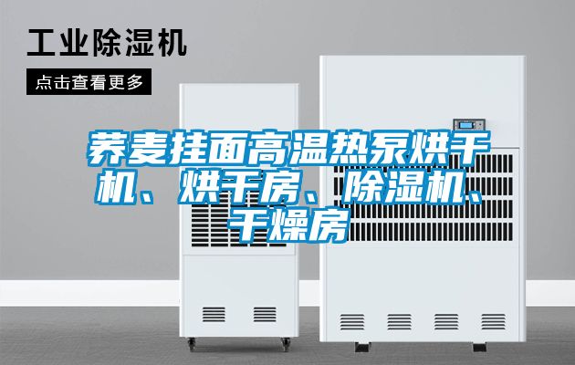 蕎麥掛面高溫熱泵烘干機、烘干房、除濕機、干燥房
