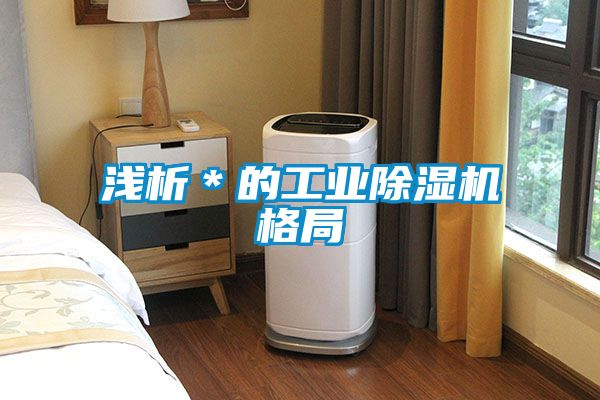 淺析*的工業(yè)除濕機格局
