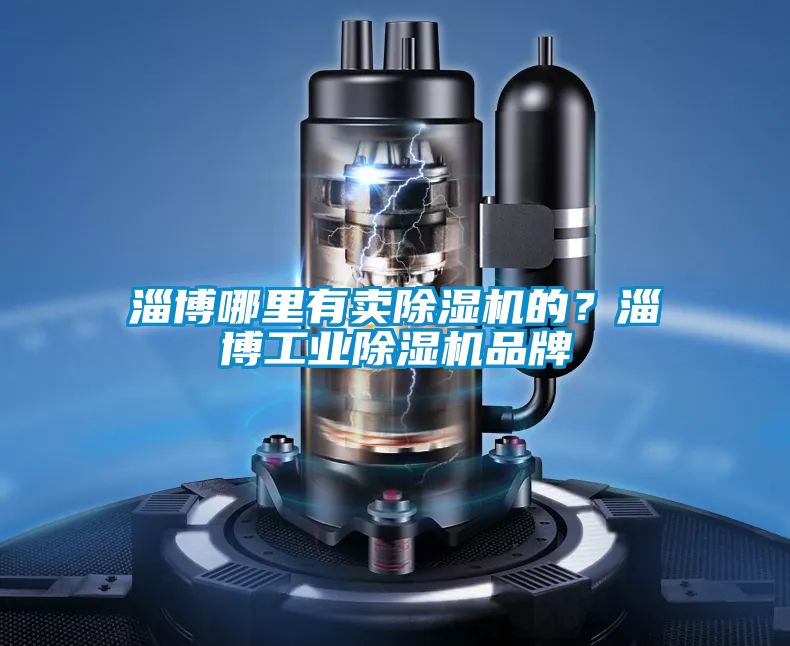 淄博哪里有賣除濕機的?淄博工業除濕機品牌