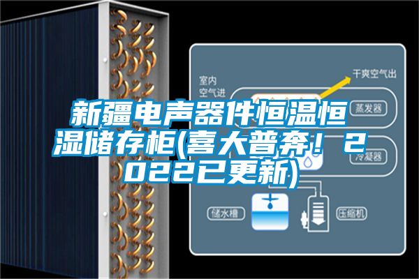 新疆電聲器件恒溫恒濕儲存柜(喜大普奔！2022已更新)