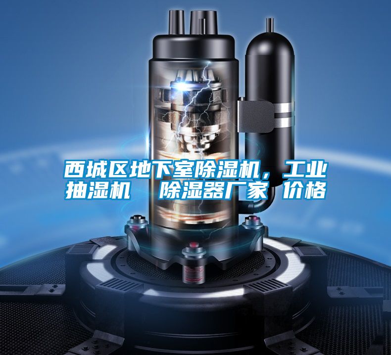 西城區地下室除濕機,工業抽濕機 除濕器廠家 價格