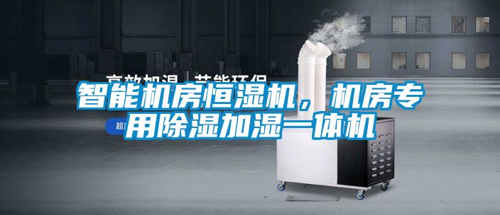 智能機房恒濕機,機房專用除濕加濕一體機