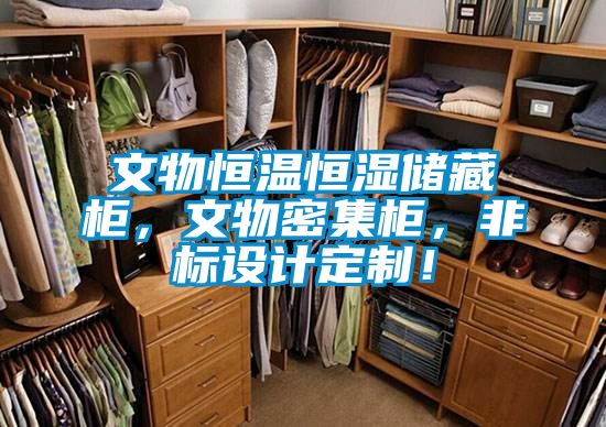 文物恒溫恒濕儲藏柜，文物密集柜，非標設計定制！