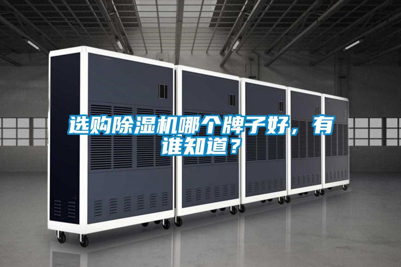 選購除濕機哪個牌子好，有誰知道？