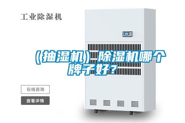 （抽濕機）除濕機哪個牌子好？